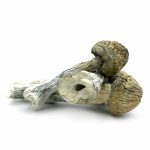 Köp Thrasher Mushroom i Sverige